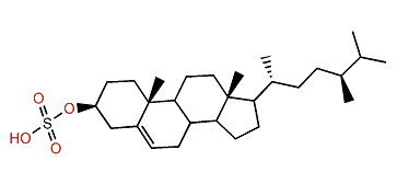 (24R)-24-Methylcholest-5-en-3b-ol 3-sulfate